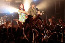 客席にダイブする志磨遼平（Vo / ドレスコーズ）。（撮影：板橋淳一）