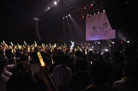 黄色のペンライトで埋め尽くされたステラボール。