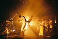 シャムキャッツ（撮影：山口広太郎］