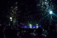 藤岡みなみ＆ザ・モローンズ「2016年、確信」の様子。