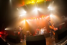 TRICERATOPS（撮影：山本倫子）