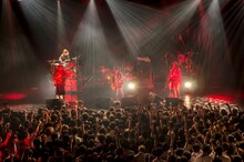 tricot「KABUKU TOUR 2016」東京・赤坂BLITZ公演の様子。（Photo by Ohagi）