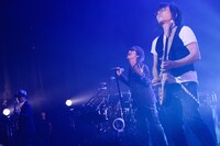 kokua（撮影：岸田哲平）