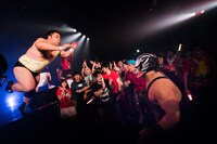 「『夏の魔物現象2016』メジャー3rdシングルレコ発ワンマンGIG～MAMONO BOM-BA-YE 2016～」の様子。（撮影：タイコウクニヨシ）