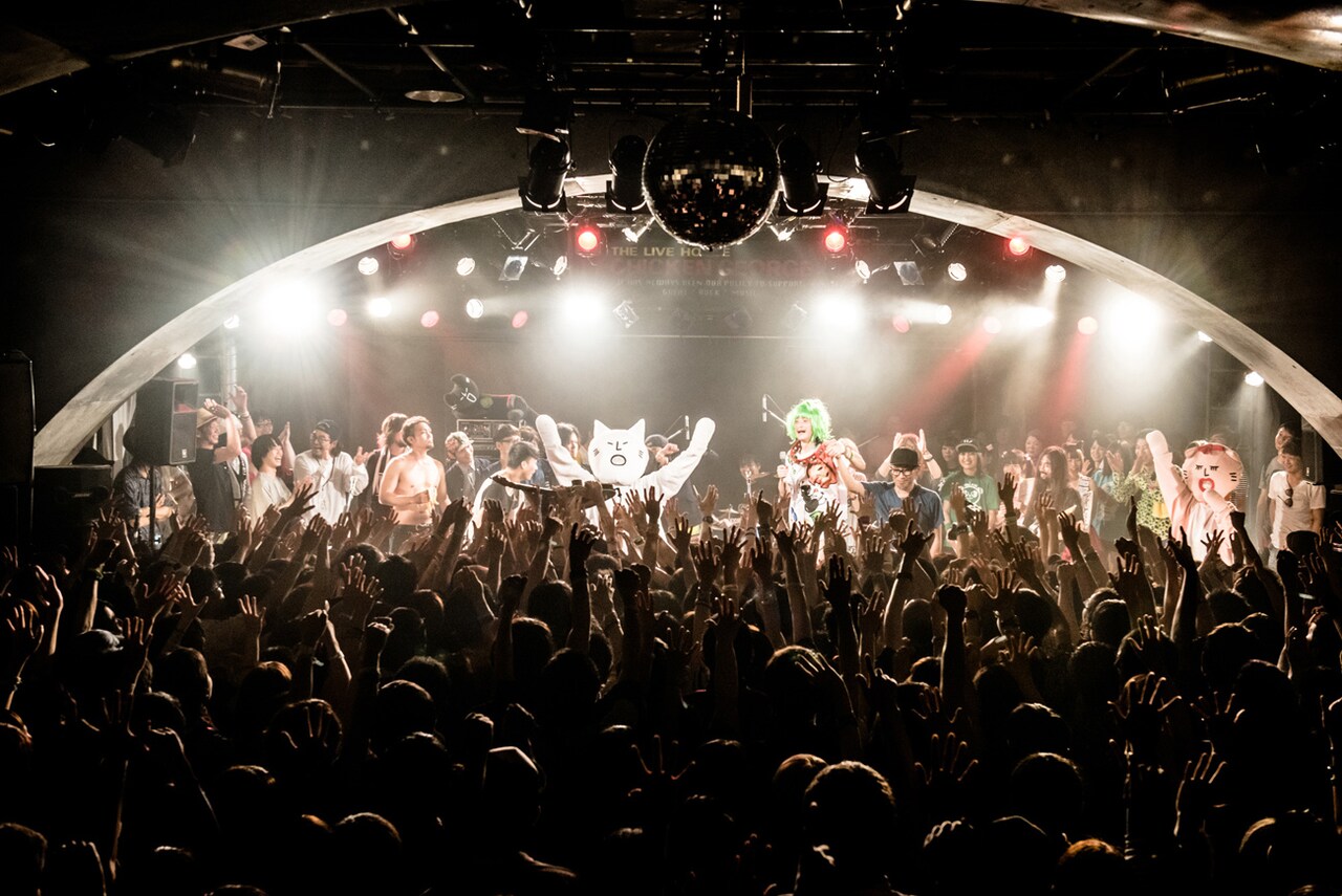 「ネコフェス2016」スぺシャで放送決定