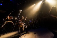 「ネコフェス2016」の様子。