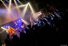 PELICAN FANCLUB（Photo by rina asahi）