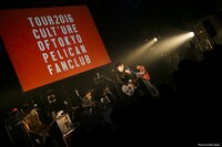 PELICAN FANCLUB（Photo by rina asahi）