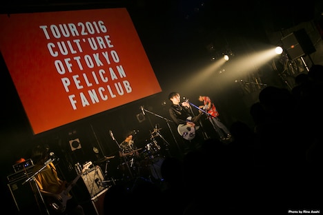 PELICAN FANCLUB（Photo by rina asahi）