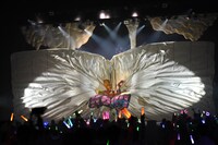 ステージ中央に吸い込まれていく白幕。