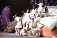 ドーナツの穴から出てきた桜エビ～ず。