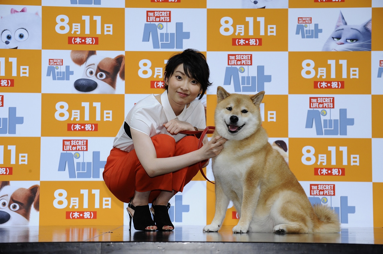 家入レオ×人気柴犬まるちゃん「ペット」イメージ曲で共演