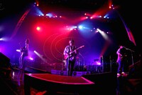 フレデリック「フレデリズムツアー2016～オンリーワンダーランド」東京・Zepp DiverCity TOKYO公演の様子。（撮影：鈴木公平）
