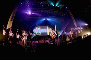 フレデリック「フレデリズムツアー2016～オンリーワンダーランド」東京・Zepp DiverCity TOKYO公演の様子。（撮影：鈴木公平）