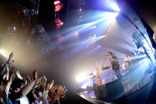 Czecho No Republic（撮影：半田安政[Showcase]）