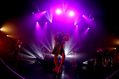 パスピエ(撮影:鈴木公平)