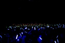 村川梨衣「Rietion Session LIVE PARTY!!」の様子。（写真提供：日本コロムビア）