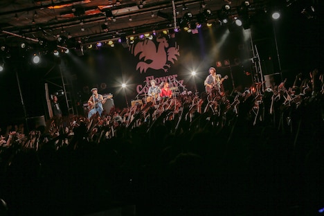 フラワーカンパニーズ「夢のおかわり2016」東京・LIQUIDROOM公演の様子。（撮影：柴田恵理）