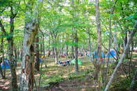 「Sawagi Festival」会場イメージ