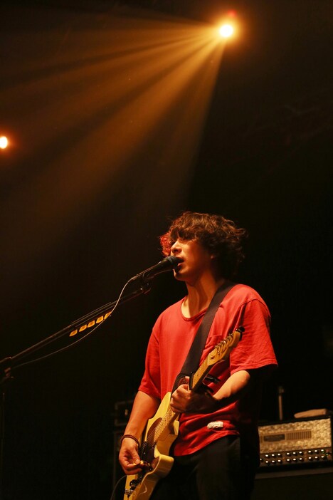 谷口鮪（Vo, G）（写真提供：Ki/oon Music）