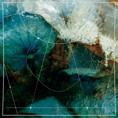 downy「第六作品集『無題』」ジャケット