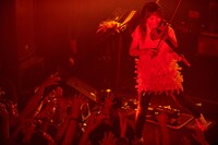 東出真緒（Violin / BIGMAMA）（撮影：新澤和久）