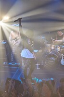 BIGMAMA（撮影：新澤和久）