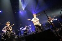 WHITE ASH「Emperors And Dumbasses」東京・赤坂BLITZ公演の様子。（撮影：柴田恵理）