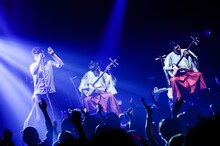 MONKEY MAJIKと吉田兄弟のセッションの様子。