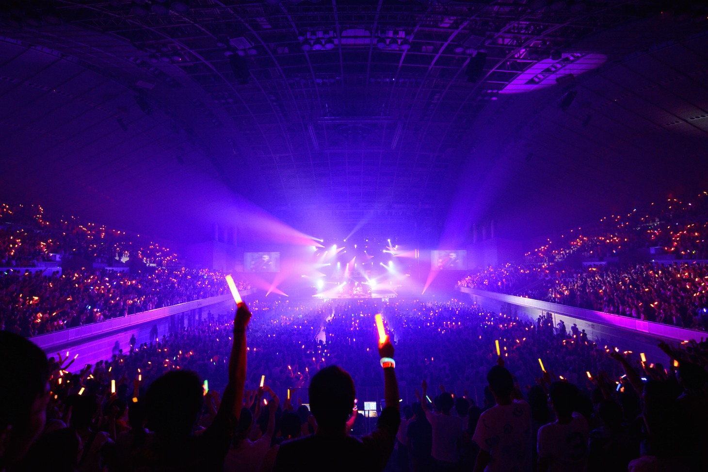 「ANI-ROCK FES. NARUTO THE LIVE 2016」の様子。