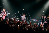 ヤバイTシャツ屋さん（撮影：西槇太一）