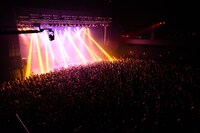 「the pillows TOUR 2016 "STROLL AND ROLL TOUR"」Zepp Tokyo公演の様子。（撮影：橋本塁［SOUND SHOOTER］）