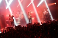 「the pillows TOUR 2016 "STROLL AND ROLL TOUR"」Zepp Tokyo公演の様子。（撮影：橋本塁［SOUND SHOOTER］）