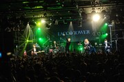 「LACCO TOWER 『心臓文庫』リリースツアー“心造旅行” 【独奏演奏会】」の様子。