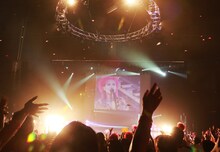 hide（撮影：nonfix creative [大武紘明、小谷信介、齋藤正、宮崎慎之輔]）