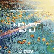 THE BEAT GARDEN「Never End」通常盤ジャケット