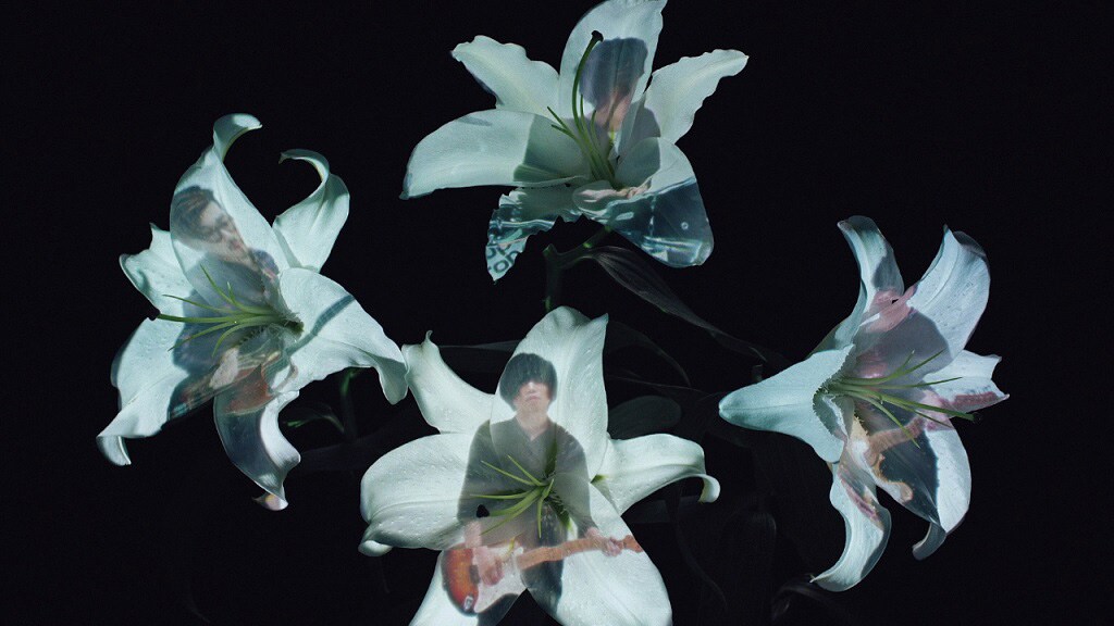 「Hana」のミュージックビデオのワンシーン。