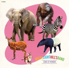 ホタルライトヒルズバンド「センスオブワンダー」ジャケット
