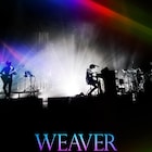WEAVER杉本雄治にスポット当てたライブDVDティザー公開