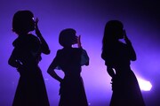 Negicco×エビ中、2017年新春にジョイントライブ