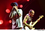 Red Hot Chili Peppers