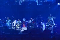 ユニコーン（Photo by TEAM LIGHTSOME）