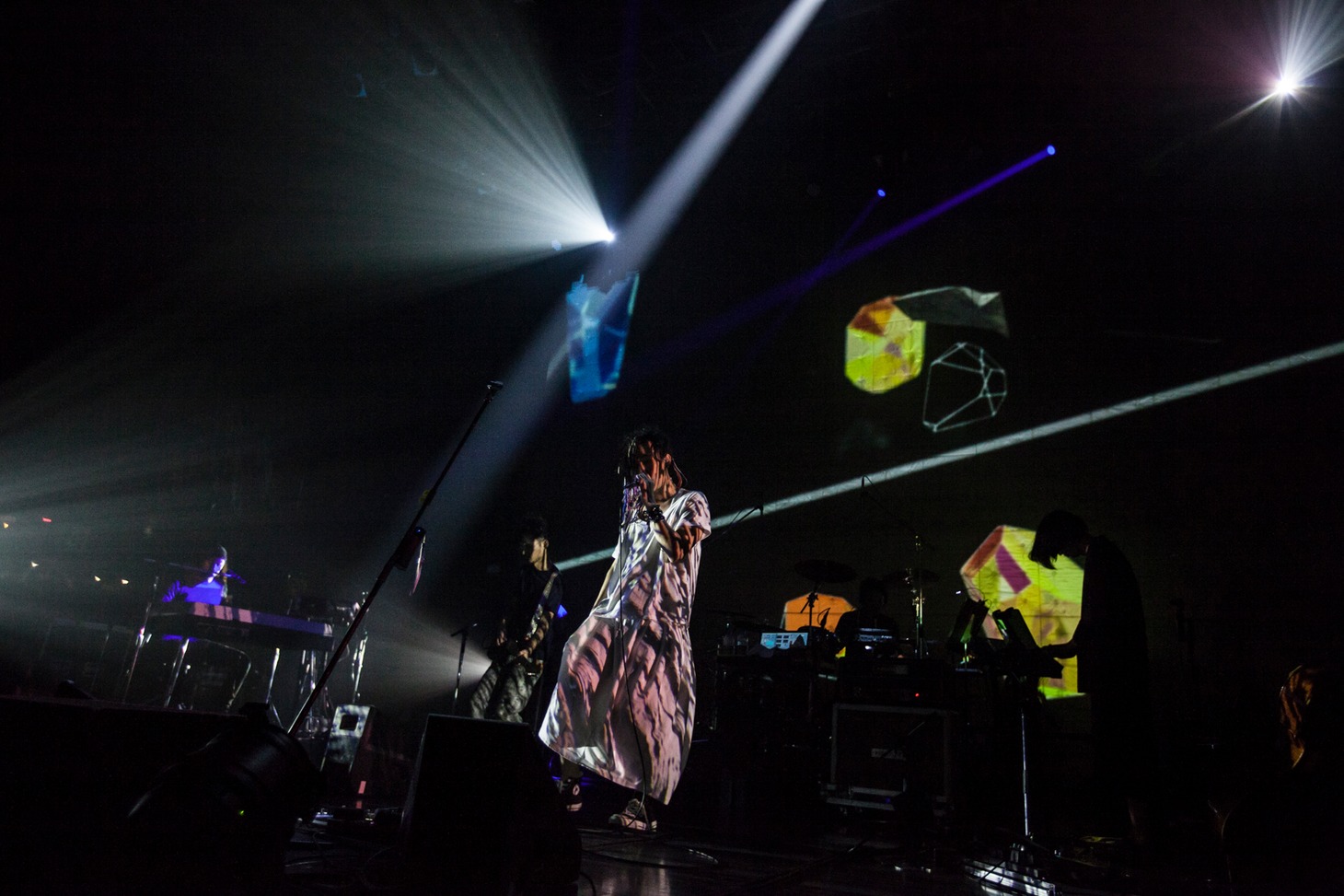 「illion Japan Tour 2016」新木場STUDIO COAST公演の様子。（撮影：鳥居洋介）