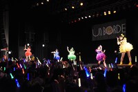 チームしゃちほこ