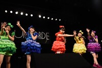 チームしゃちほこ