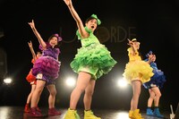 チームしゃちほこ