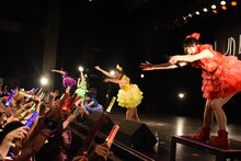 チームしゃちほこ