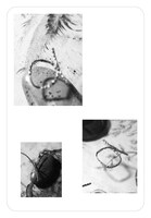 LILI LIMITがファンに送ったハガキ。