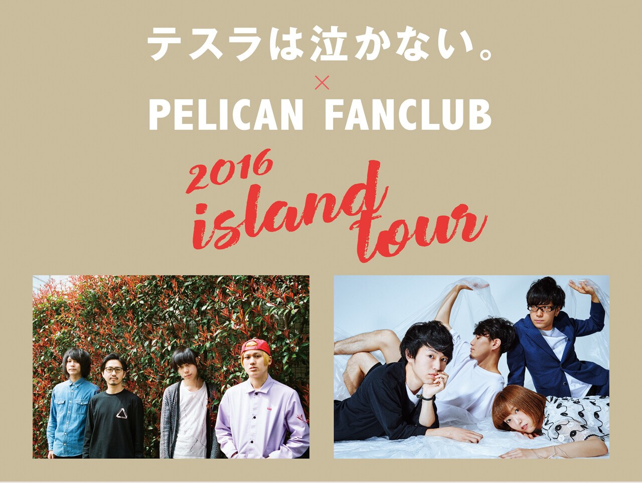 テスラは泣かない。×PELICAN FANCLUB、関東4カ所回るスプリットツアー