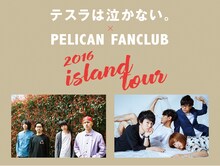 「テスラは泣かない。×PELICAN FANCLUB《 Island Tour 2016 》」告知ビジュアル